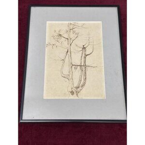 Sally B Hooff Original Ink Drawing Tree Study PEI Artist Vintage Artwork